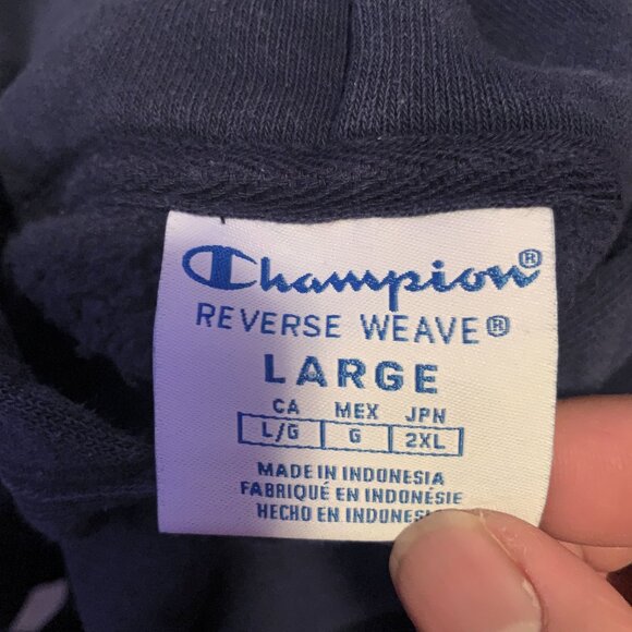 Champion Reverse Weave Heavyweight Y2K Hoodie - Picture 4 of 4